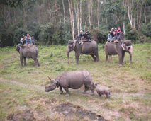 Chitwan Tourism Board (CTB)