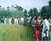 Visual of Forum for Rural Welfare & Agriculture Reform for Development (FORWARD)